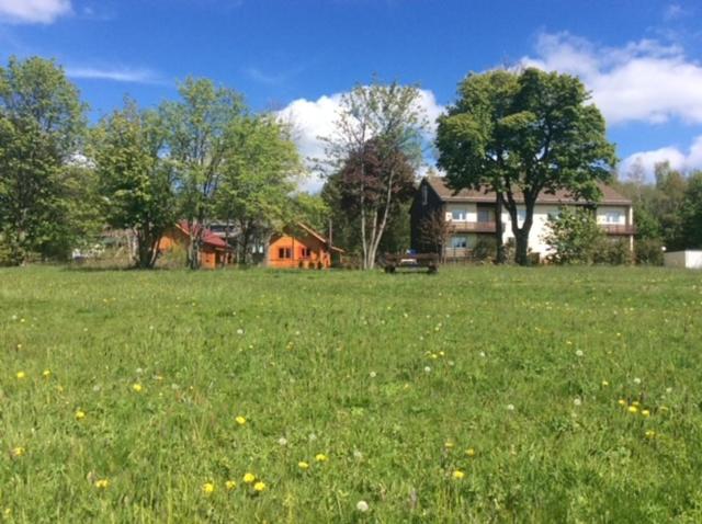 Ferienwohnung Harzblick 4 Braunlage Kültér fotó