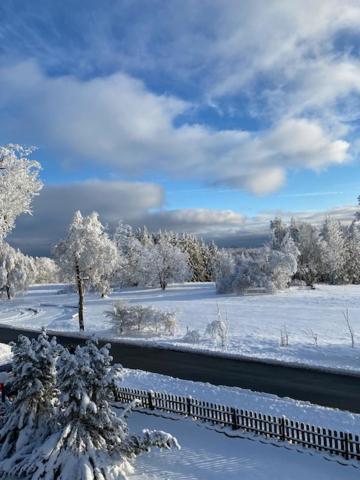 Ferienwohnung Harzblick 4 Braunlage Kültér fotó